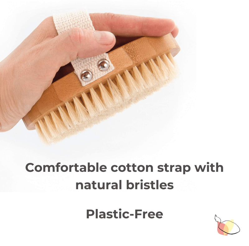 Dry Brushing Body Brush for Rejuvenating Skin – Back Scrubber for Shower – Stimulate Lymphatic Drainage and Minimize Cellulite – 100% Natural Boar Bristles with Detachable Handle – Exfoliating Brush - NewNest Australia