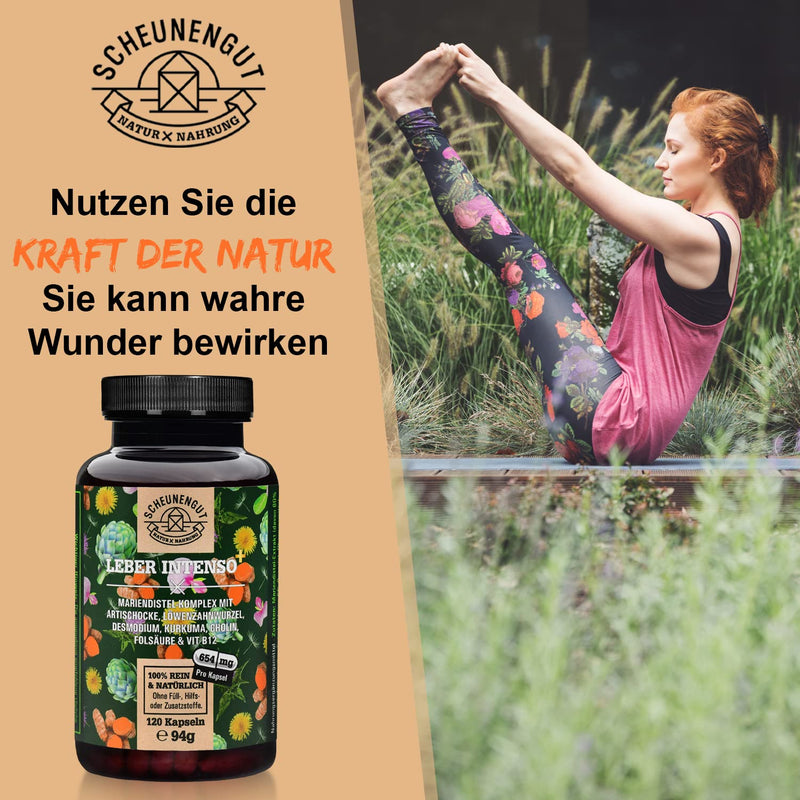 Liver Intenso+ Liver Capsules High Dose - Important: Laboratory Tested With Choline, Milk Thistle, Artichoke, Dandelion & Desmodium Plus 80% Silymarin And 5% Cynarin I 120 Capsules I From De I Scheunengut - NewNest Australia