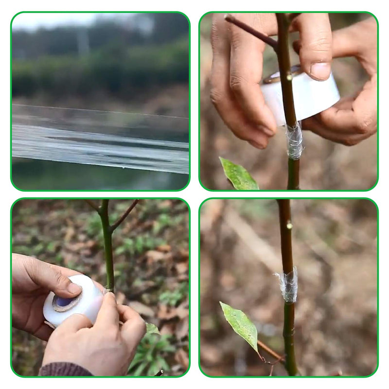 Wuhuwuhu Grafting Tape PE Stretchable Self-Adhesive Membrane Clear Floristry Film Moisture Barrier Parafilm for Garden Nursery Fruit Trees Garden Budding Tree Seedling Graft 4 Pcs - NewNest Australia