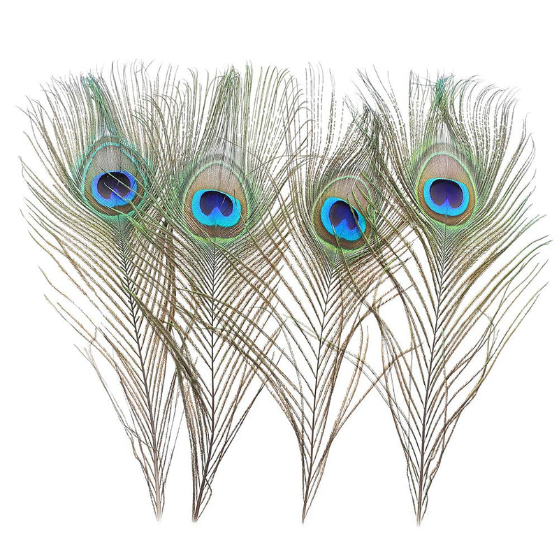 12 PCS Real Natural Peacock Eye Feathers 10-12 inch for DIY Craft, Wedding and Holiday Decorations 12 - NewNest Australia