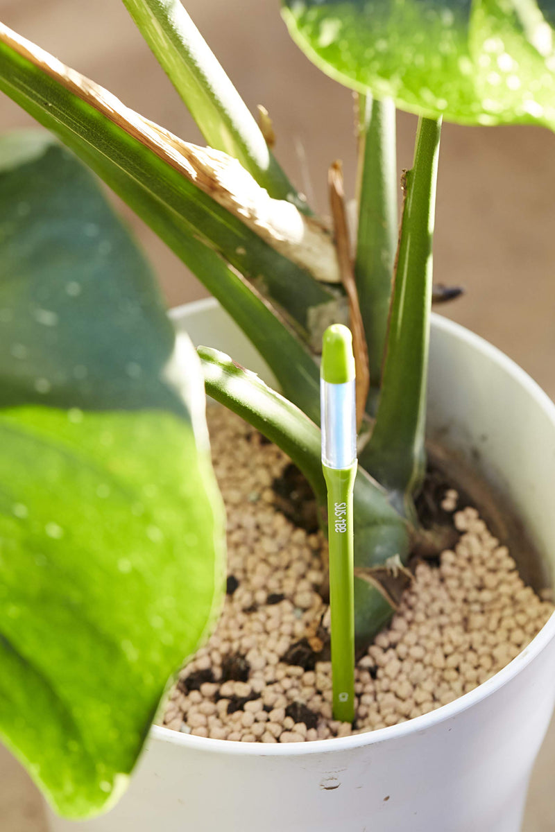 Sustee Aquameter, Green, Small - Plant Soil Moisture Sensor - Best for Potted Plants (Refillable Style) - NewNest Australia
