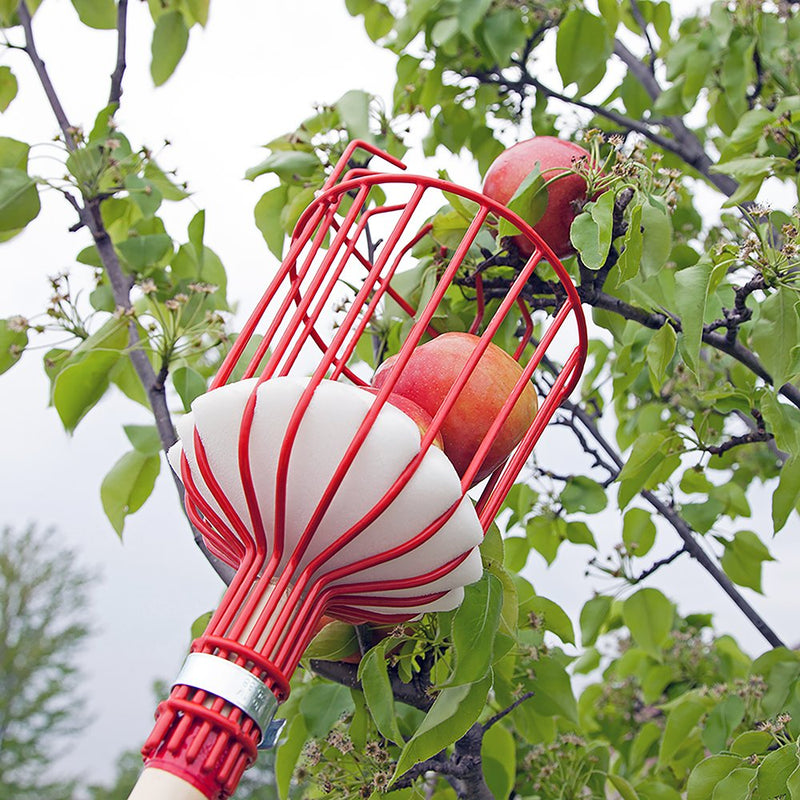 Home-X Fruit Picker Harvester Basket with Cushion to Prevent Bruising (Pole not Included) - NewNest Australia