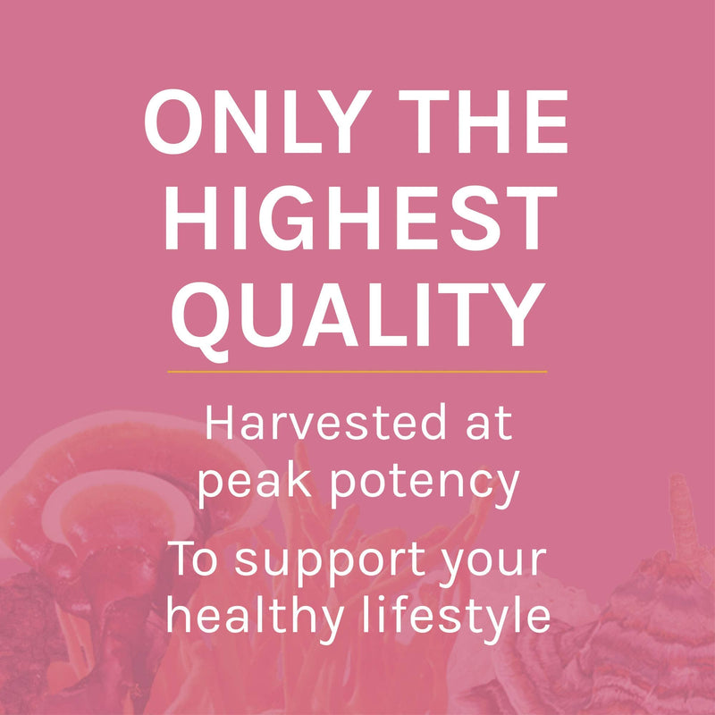 Host Defense, Turkey Tail Mushroom Powder, Supports Immune Health, Certified Organic Supplement - NewNest Australia