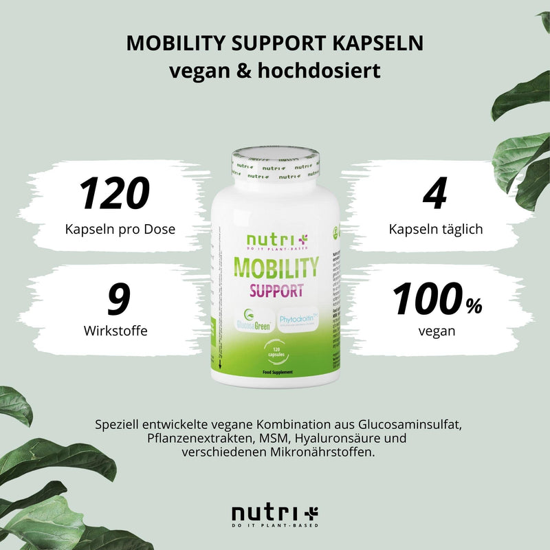 Glucosamine + Chondroitin High Dose + Vegan - Mobility Support With Msm, Hyaluronic Acid, Zinc, Vitamin C - Brand Raw Materials Glucosagreen + Phytodroitin - 120 Capsules - NewNest Australia