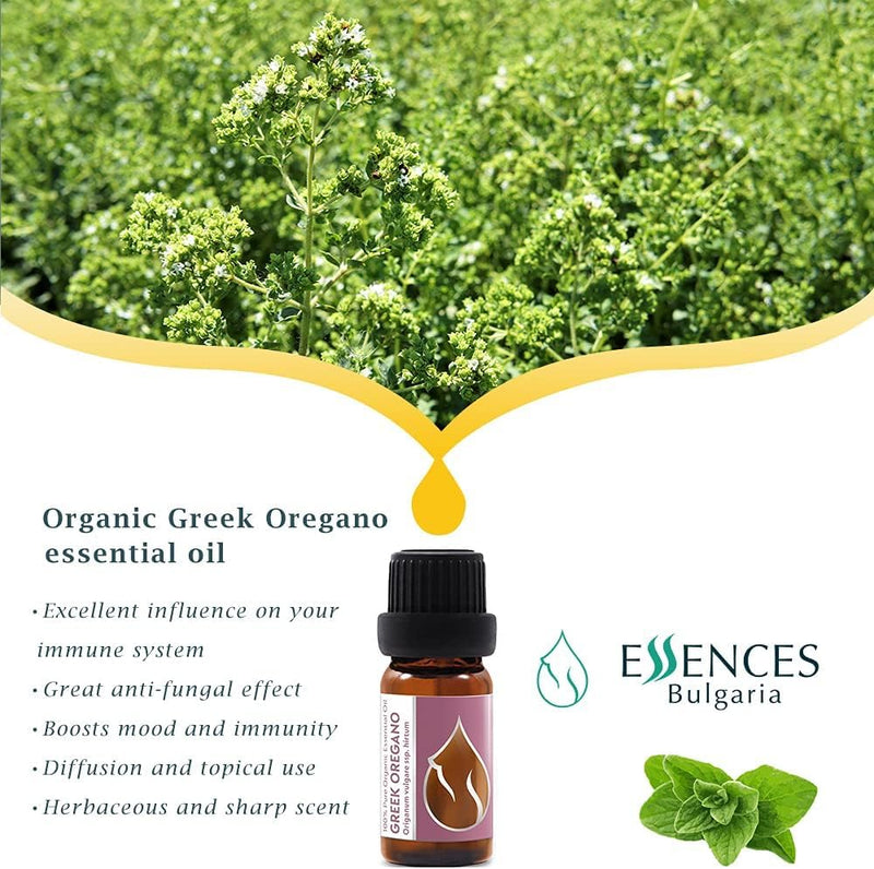 Essences Bulgaria Organic Mountain Oregano Oil 10 Ml | Origanum Vulgare Var. Hirtum | 100% Natural | Undiluted | Organic Certified | Top Quality From Family Business | No Genetic Engineering | Vegan - NewNest Australia
