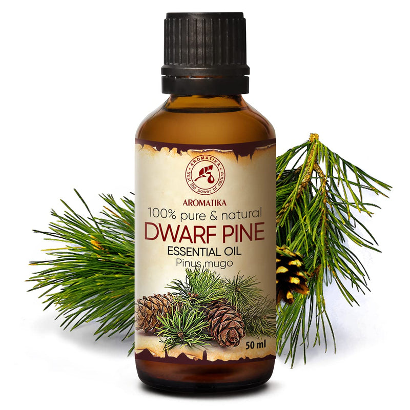 Mountain Pine Oil 50 Ml - Pinus Mugo - Christmas Tree Fragrance - Sauna Oil - Essential Oils For Aromatherapy - Skin & Hair - Oil Lamp - Room Fragrance - Body Care - Good Mood - Oil For Diffuser - NewNest Australia