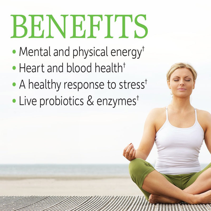 Garden of Life Vitamin B Complex - Vitamin Code Raw B Complex - 60 Vegan Capsules, High Potency B Complex Vitamins for Energy & Metabolism with B6, Folate & B12 as Methylcobalamin Plus Probiotics 60 Count (Pack of 1) - NewNest Australia
