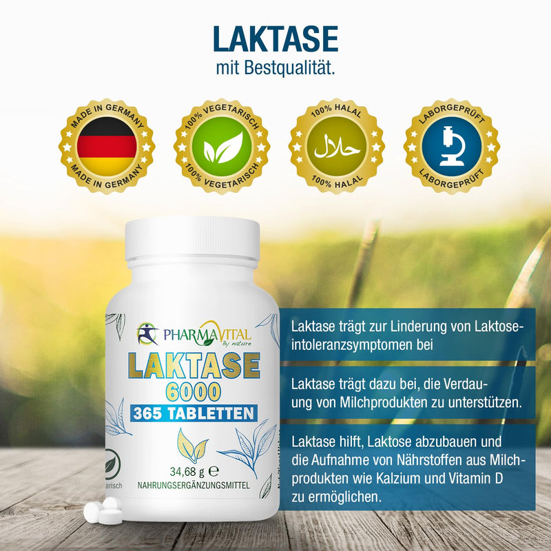 PharmaVital Lactase 6,000 FCC - 365 tablets for the digestion of dairy products Supports lactose intolerance Lactase Enzyme Lactase Reduces flatulence, diarrhea and discomfort Lactase 6000 365 tablets (pack of 1) - NewNest Australia