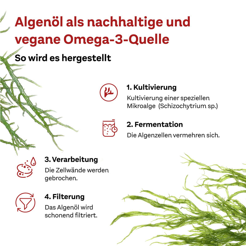 Doppelherz system OMEGA-3 VEGETABLE - algae oil - vitamin D as a contribution to the normal function of the immune system - 120 capsules 120 pieces (pack of 1) - NewNest Australia