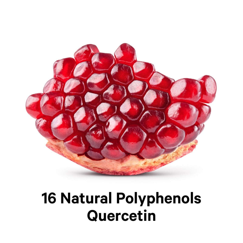 Codeage Polyphenols Supplement - Organic Green Tea Pills, Quercetin, Pomegranate, Turmeric - Resveratrol & Plant Polyphenols Foods - Polyphenol Nutrients - Vegan, Non-GMO - 120 Capsules - NewNest Australia