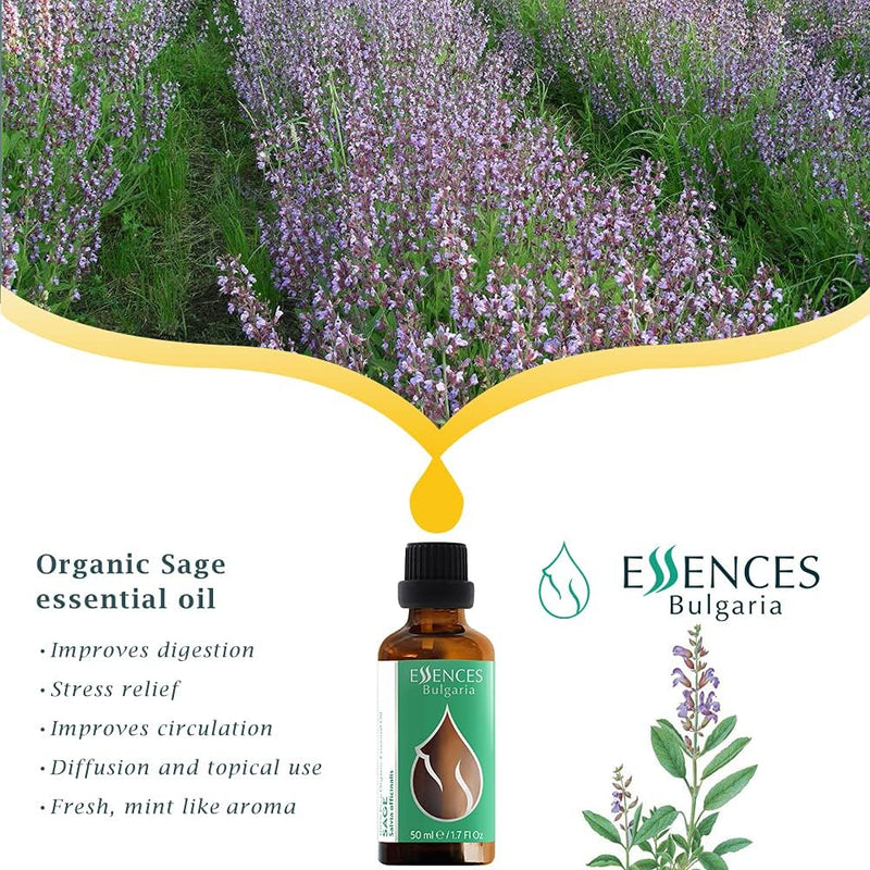 Essences Bulgaria Organic Sage Essential Oil 10 Ml | Salvia Officinalis | 100% Natural | Undiluted | Organic Certified | Top Quality From Family Business | No Genetic Engineering | Vegan - NewNest Australia