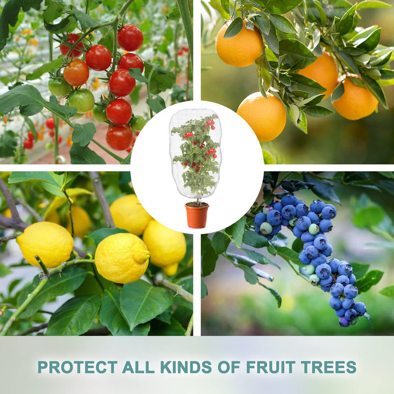 TMFsode 3 Pack Insect Bird Barrier Mesh Netting with Drawstring, 3.2 Ft x 2.6 Ft Blueberry Bush Netting, Protective Garden Mesh Cover for Tomatoes, Fruit Tree, Flowers, Vegetables - NewNest Australia