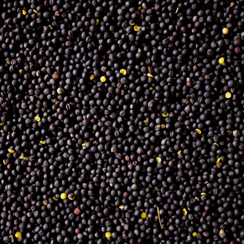 Rapeseed Cleaned Rapeseed Therapy Rapeseed for Rapeseed Cushion Heat Cushion Cold Cushion Seeds Loose Buy Rheumatism Microwave Wellness Rapeseed Bath 1-30 kg Petigi, Weight: 5 kg 5 kg - NewNest Australia