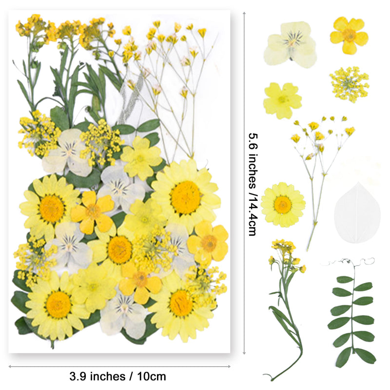 YouthBro Yellow Dried Pressed Flowers for Resin Molds,Real Natural Pressed Flowers for DIY Art Crafts,Candle Making, Nails Décor,Soap Making, Phone Case - NewNest Australia
