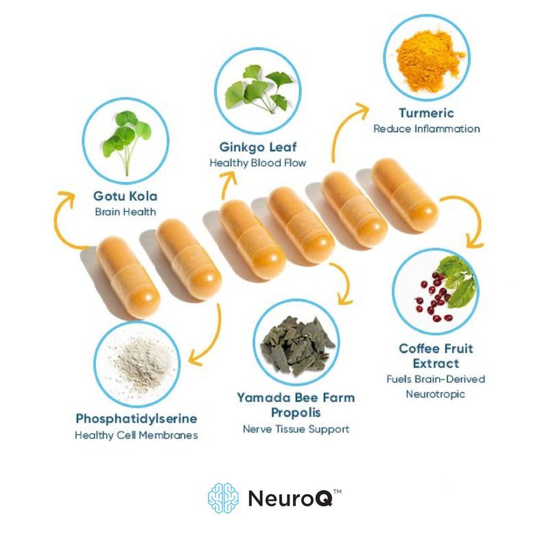 LifeSeasons - NeuroQ - Neuroprotective Formula by Dr. Dale Bredesen - Boost Cognitive Performance and Maintain Healthy Brain Function - 60 Capsules - NewNest Australia