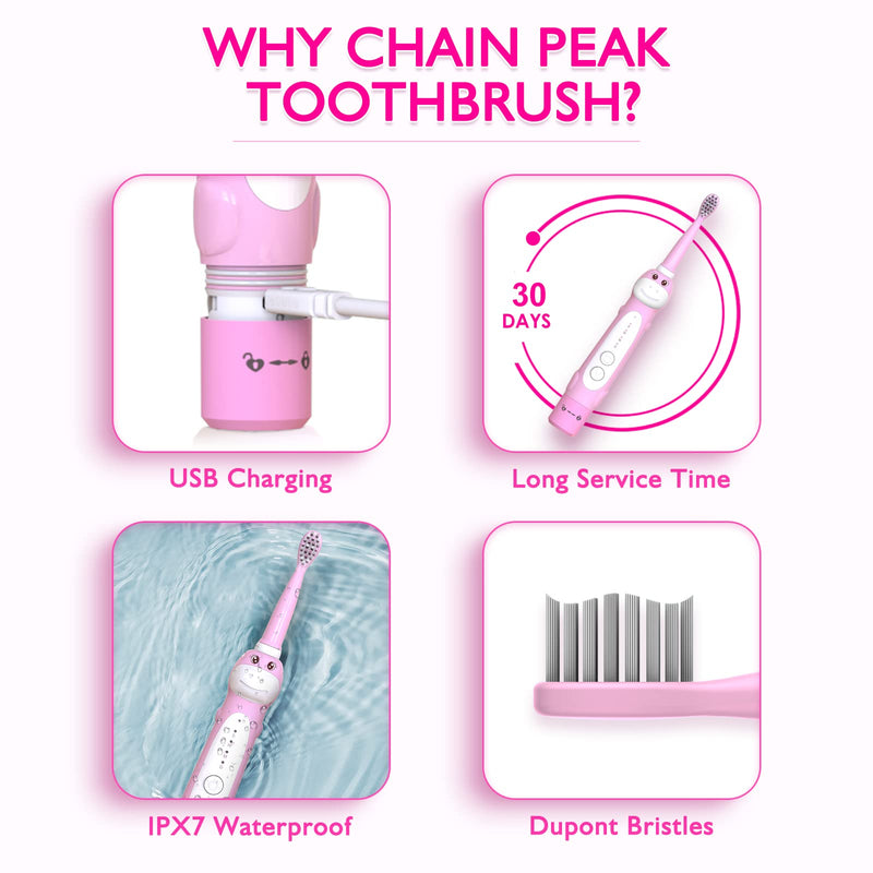 Dinosaur Toothbrush, Kids Sonic Electric Toothbrush for Children, Toddlers Boys Girls Age 3-12 with 30s Reminder, 2 Mins Timer, 5 Modes, 6 Brush Heads, Rechargeable, Wall-Mounted Holder 8680 Pink+ 6 Heads+ Holder(package Might Vary) - NewNest Australia