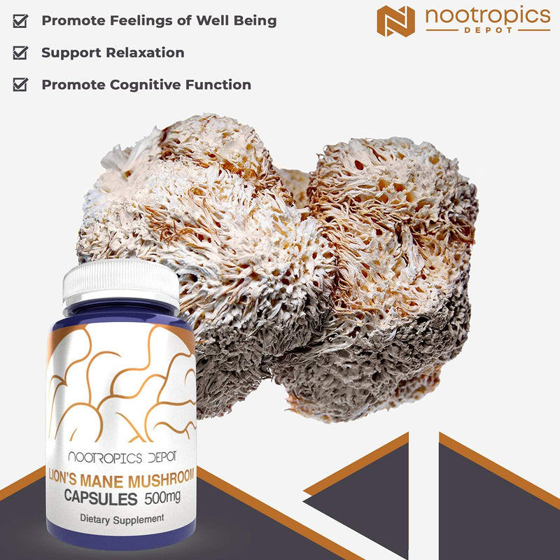 Lions Mane Mushroom Capsules | 8:1 Whole Fruiting Body Dual Extract | 500mg | 60 Count | Hericium erinaceus 60 Count (Pack of 1) - NewNest Australia