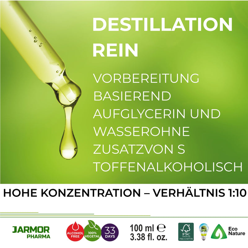 Dandelion Drops 100 Ml | Dandelion Detox Detox For Liver And Intestines | Detoxification Of The Liver, Colon, Intestine And Kidneys | Drainage And Diuretic | Gluten Free J.Armor - NewNest Australia