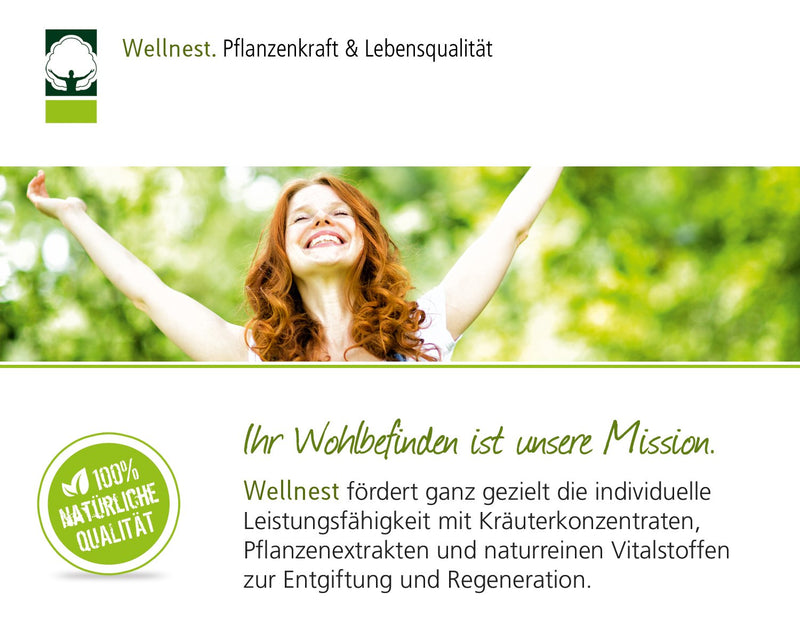 Wellnest ClarkIntest Herbal Bitters Concentrate 100 ml | Intestinal detox treatment vegan | Recipe according to Hulda Clark | With, among other things, black walnut, olive leaf, clove - NewNest Australia