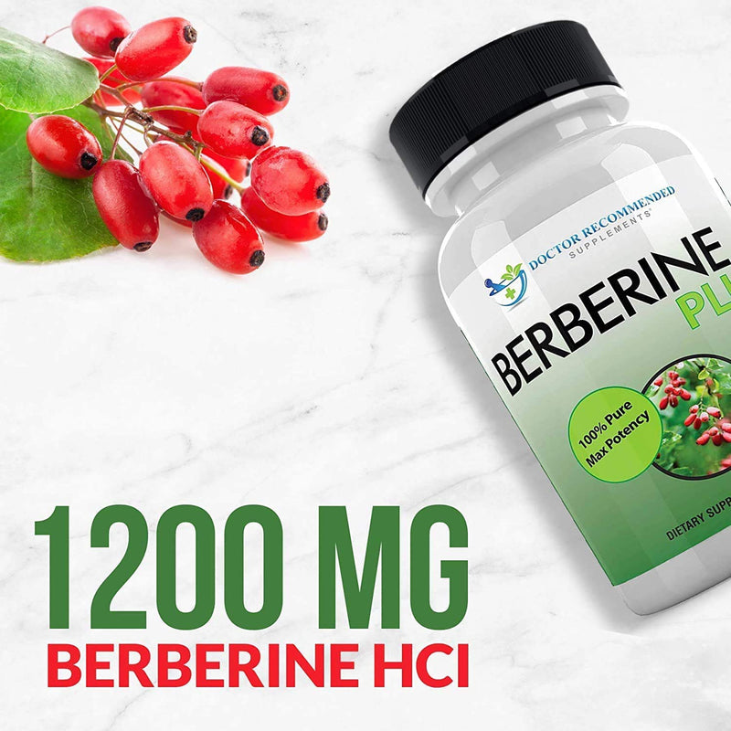 Berberine Plus 1200mg Per Serving - 120 Veggie Capsules Royal Jelly, Supports Healthy Immune System, Improves Cardiovascular Heart & Gastrointestinal Wellness - NewNest Australia