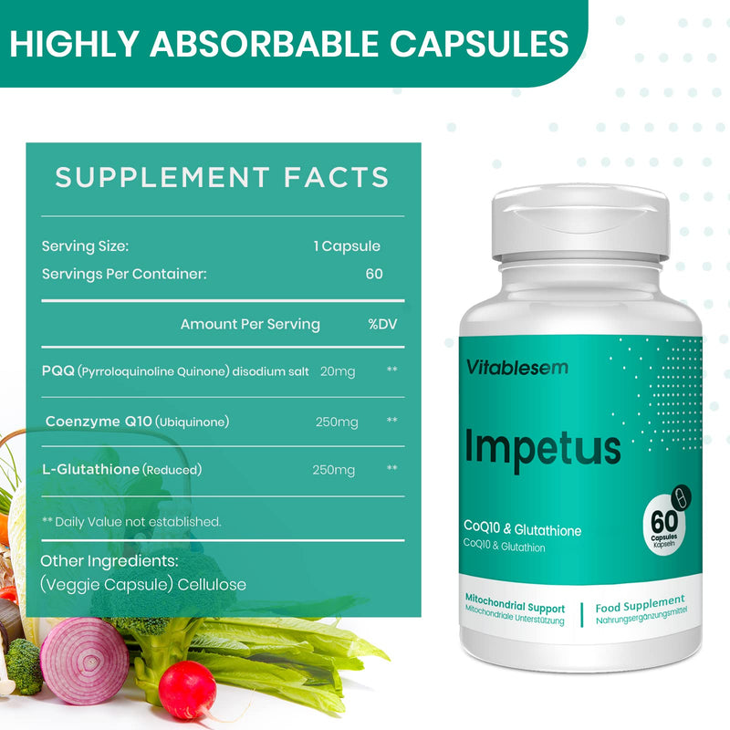 CoQ10 Complex 520MG -60 Vegan Capsules of High Absorption Co Enzyme Q10 -with Pure Reduced Glutathione -Fermented Ubiquinone -CoEnzyme Q10 Supplement 1 Pack - NewNest Australia