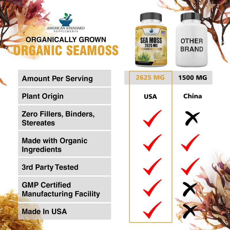 Organic Sea Moss 2625mg, Maine USA Hand Harvested, Irish Moss Bladderwrack and Burdock Root, Sea Moss Capsules, SeaMoss, Irish Sea Moss Alternative To Sea Moss Powder, Sea Moss Gel, 120 Vegan Capsules - NewNest Australia