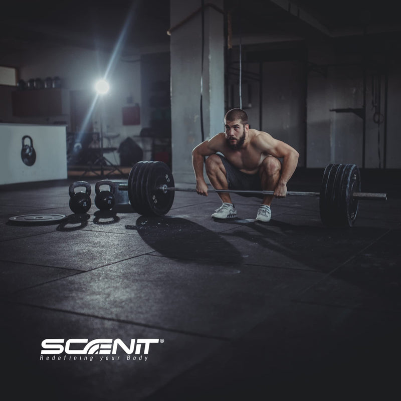 Best Creatine - 500 G - Micronized Creatine Monohydrate - Creatine Powder Without Flavor - Creatine Monohydrate Powder - Creatine 500 G, Creatine Monohydrate, Creatine Powder, Creatine Monohydrate - NewNest Australia
