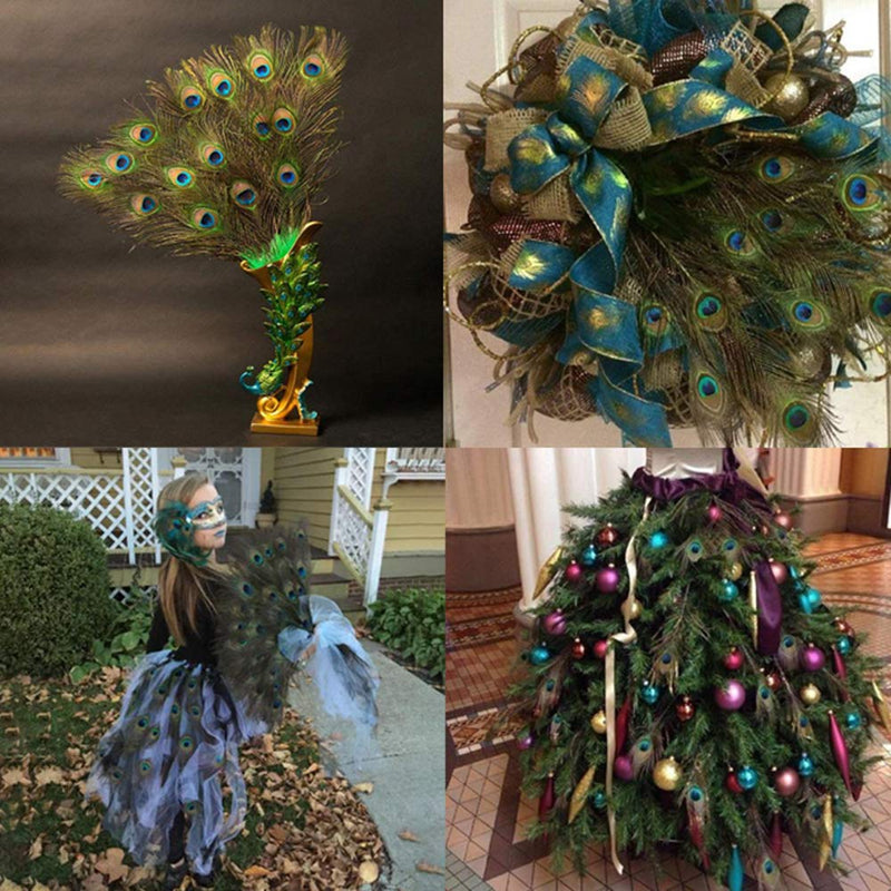 12 PCS Real Natural Peacock Eye Feathers 10-12 inch for DIY Craft, Wedding and Holiday Decorations 12 - NewNest Australia