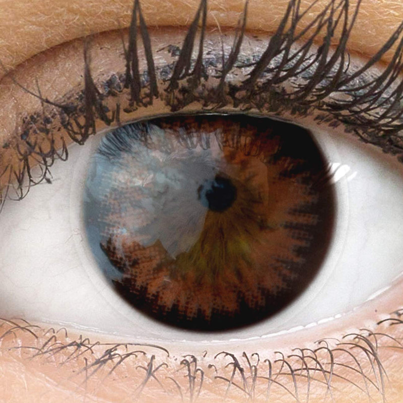 Very opaque and natural brown contact lenses SILICONE COMFORT NEW in color “Siena Choco” brown + container from GLAMLENS - 1 pair (2 pieces) - DIA 14.50 - without strength 0.00 diopters 0.0 diopters 8.8 millimeters 14.50 millimeters 2.0 - NewNest Australia
