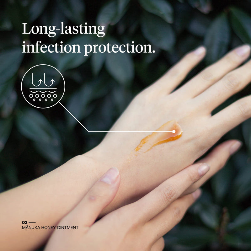 FIRST HONEY Sterile Manuka Honey Ointment |100% Medical Grade Manuka Honey for Minor Burns, Wounds, and Cuts | Chemical-Free and Drug-Free|1 Ounce (Pack of 1) - NewNest Australia