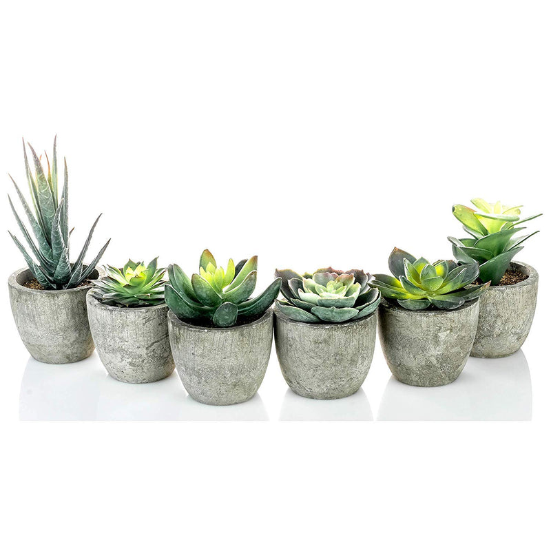 NewNest Australia - 6 Pots Small Artificial Succulent Plants Mini Fake Faux Suculentas Pot For Shelf Kitchen Counter Office Decor Tiny Miniature Desk Plant Succulents Decoration Accessories Potted Plastic Cactus Aloe Green Succulents Without Box 