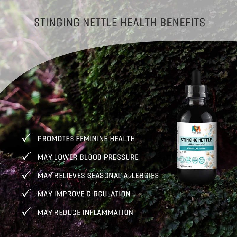Stinging Nettle Root Liquid Extract 4 fl. oz. - Organic Urtica Dioica Extract Dietary Supplement to Support Women's Health, Blood Pressure Control, Circulation - Seasonal Allergy Relief - NewNest Australia
