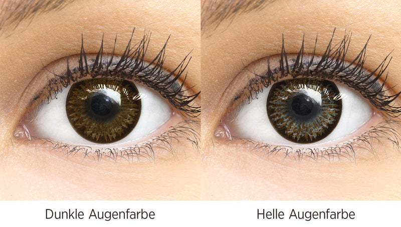 Dark brown colored contact lenses Choco Dark brown Very strong opaque SILICONE COMFORT NEW from GLAMLENS + container - 1 pair (2 pieces) - DIA 14.00 - without strength 0.00 diopters 0.0 diopters 8.6 millimeters 14.50 millimeters 2.0 - NewNest Australia