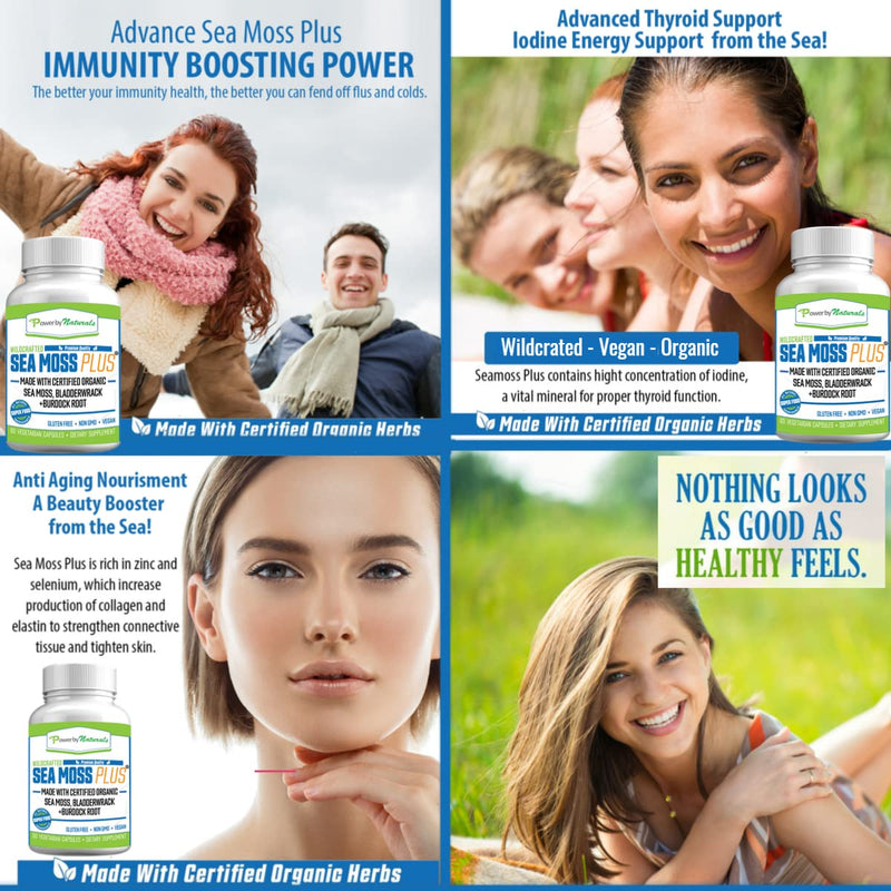 Power By Naturals Certified Organic Sea Moss Plus Supplements with Wildcrafted Irish Sea Moss, Bladderwrack, and Burdock Root, Pure Sea Moss Supplement, Vegan, No Fillers, 60 SeaMoss Powder Capsules - NewNest Australia