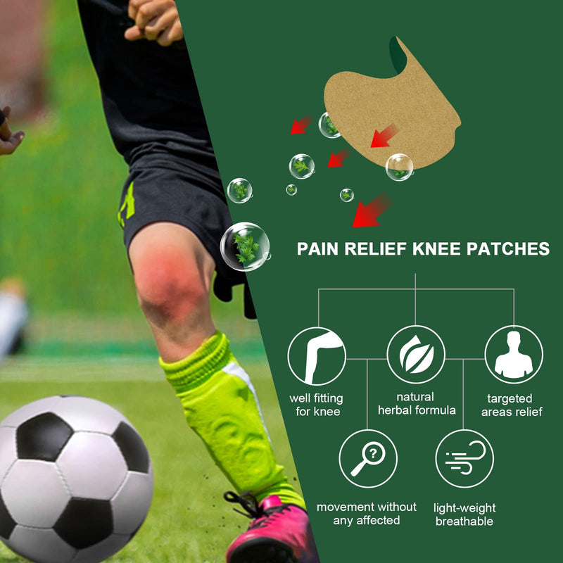 WILD+ Pain Relief Patches, 10PCS Large Max Strength Heat Patches Arthritis Joint Knee Patches, Herbal Warming Pain Relief Plaster Pain Relieving for Neck/Shoulder/Back/Muscles/Knee Pain 10 PCS - NewNest Australia