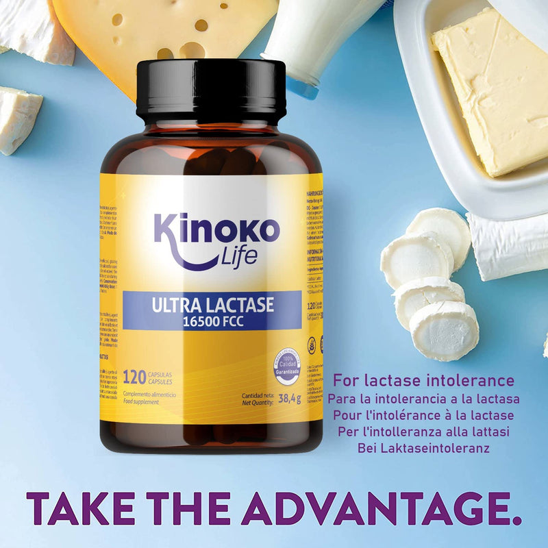 Ultra Lactase 16500 Fcc 120 Capsules Faster Effect Better Absorption Than Lactase Tablets For Lactose Intolerance Premium Digestive Enzymes Better Absorption Than Lactase Tablets Pure Lactase - NewNest Australia