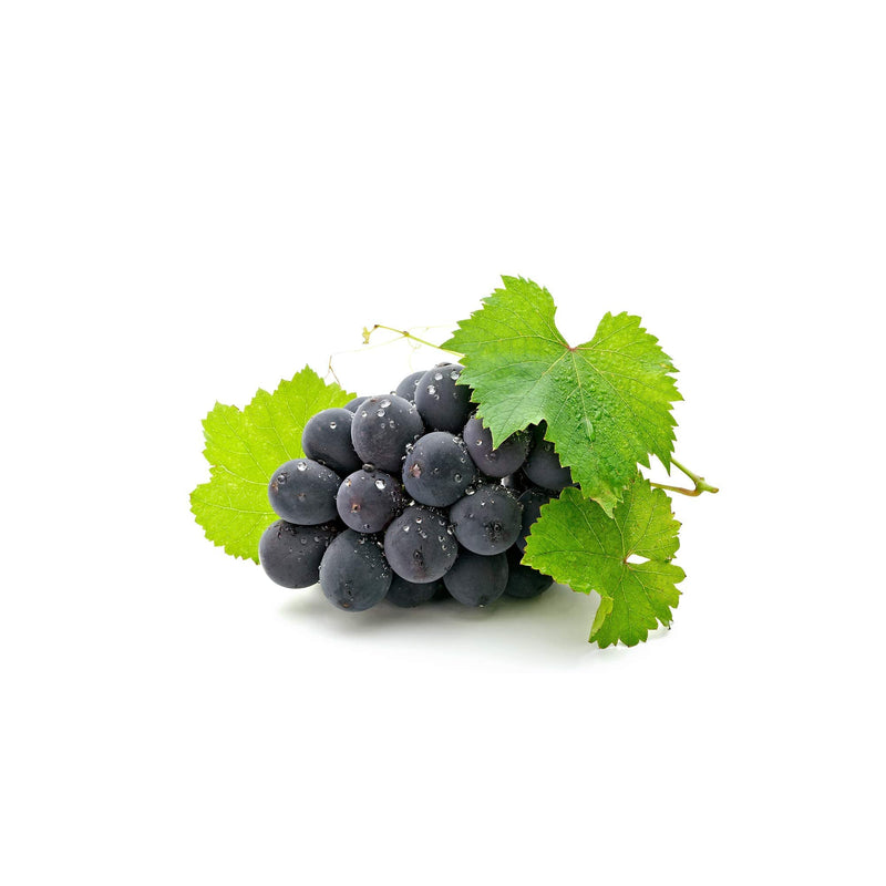 RESVERATROL from PROTYKIN® & OPC from grapes * 60 mg / 60 vegetable capsules * Titrated to 95% proanthocyanidin and to 50% resveratrol * Antioxidants, cardiovascular - NewNest Australia
