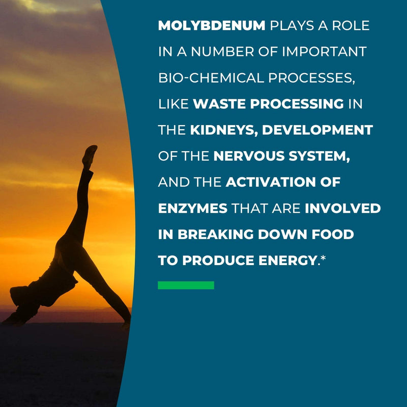 Seeking Health Molybdenum 500 – Molybdenum Glycinate Chelate – Supports Metabolism and Iron Utilization* - Metabolism Supplement - 90 Vegetarian Capsules - NewNest Australia