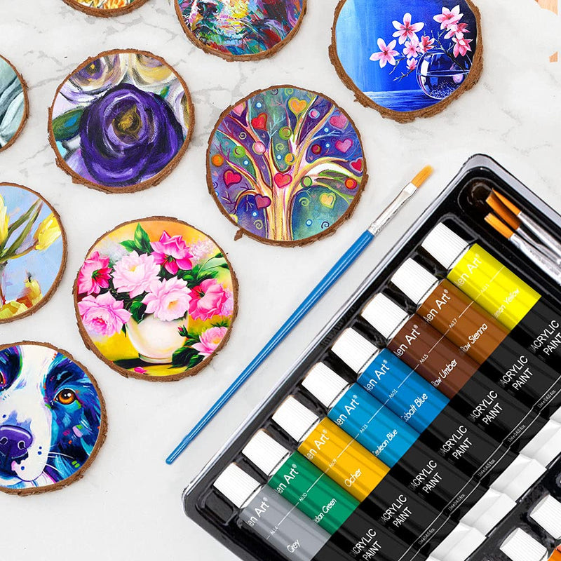 Acrylic Paint Set, Aen Art 16 Colors Painting Supplies for Canvas Wood Fabric Ceramic Crafts, Non Toxic&Rich Pigments for Beginners - NewNest Australia