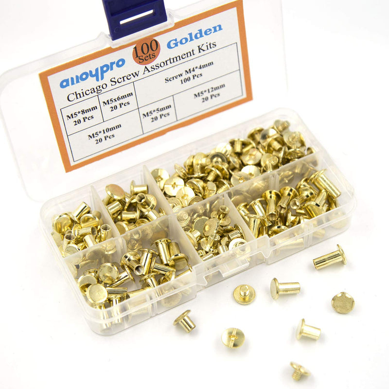 Chicago Screws Assorted Kit Golden Leather Rivets Screw Rivets Slotted Phillip Head Book Binding Posts Nail Rivet Chicago Bolts for DIY Leather Craft Bookbinding (Goldene 5x5,6,8,10,12) Goldene 5x5,6,8,10,12 - NewNest Australia