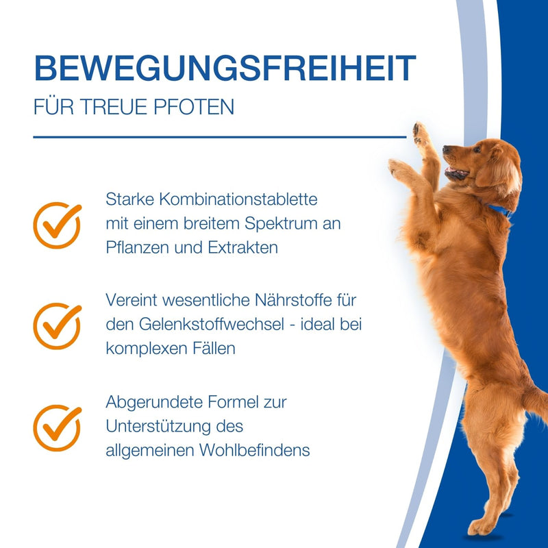 NutriLabs Canidex® joint tablets for dogs 60 PCS. - with MSM, hyaluronic acid, glucosamine, UVM. - Health products for dogs - Food supplements for dogs - Devil's claw dog chewable tablets 60 pieces - NewNest Australia