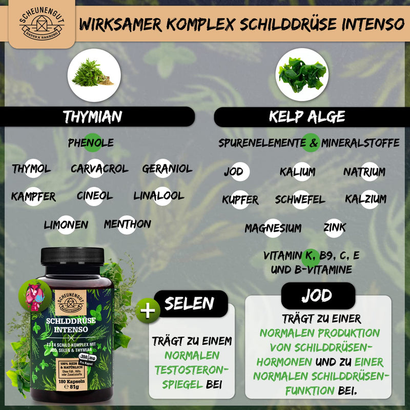 Thyroid Intenso Iodine Selenium Capsules - Important: Laboratory Tested With Selenium & Thyme Plus 155¬µg Iodine (Per Capsule) And More I 180 Capsules High Dose I Iodine From Brown Algae I Vegan I De I Scheunengut - NewNest Australia