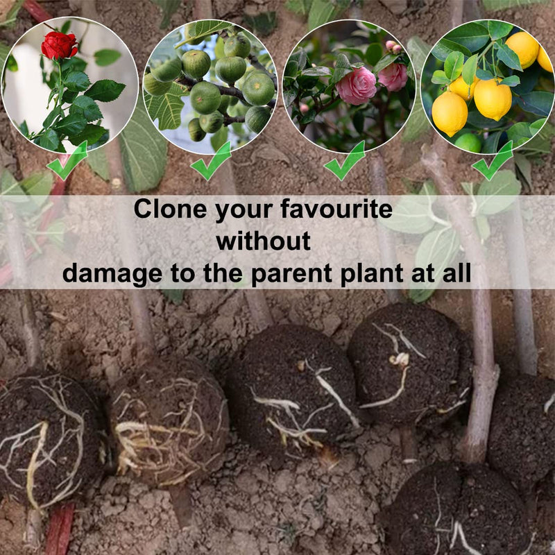 MIIIM 10 PCS Air Layering Propagation Kit with Zip Ties, Reusable Half Transparent Grafting Ball, Air Layering Pods Clear, Plant Rooting Grafting Box for Fast Propagation Plants (Medium) Medium - NewNest Australia