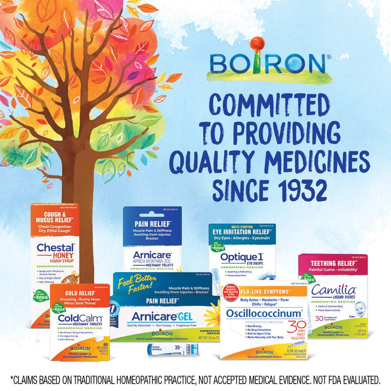 Boiron Arnicare Gel Natural Soothing Relief for Joint Pain, Muscle Pain, Swelling, Soreness, and Stiffness - Non-greasy and Fragrance-Free - 2.6 oz 2.6 Ounce (Pack of 1) - NewNest Australia