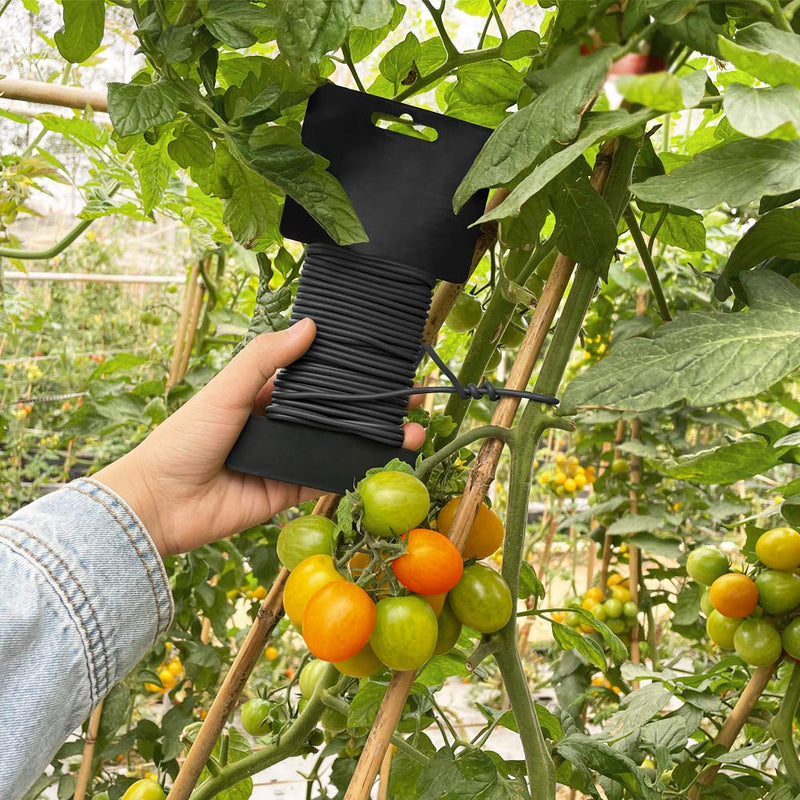 Tenn Well 10 Gauge Plant Wires, 66 Feet 2.8mm Soft Garden Wire Ties Vine Training Wires for Tomato Plants, Climbing Roses and Cucumbers (2PCS X 33 Feet, Black) - NewNest Australia