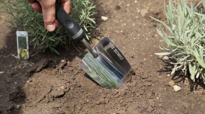 Edward Tools Bend-Proof Garden Trowel - Heavy Duty Polished Stainless Steel - Rust Resistant Oversized Garden Hand Shovel for Quicker Work - Digs Through Rocky / Heavy soils - Comfort Grip (1) 1 - NewNest Australia