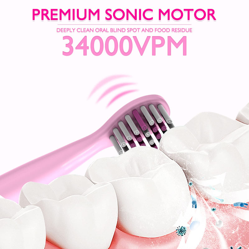 Kids Sonic Electric Toothbrush, Rechargeable Smart Toothbrush for Children, Sonic Toothbrush for Boys Girls Age 3-12 with 30s Reminder, 2 Mins Timer, 6 Modes, 4 Brush Heads, Wall-Mounted Stand… 8650 Pink+4 Heads+ Stand - NewNest Australia