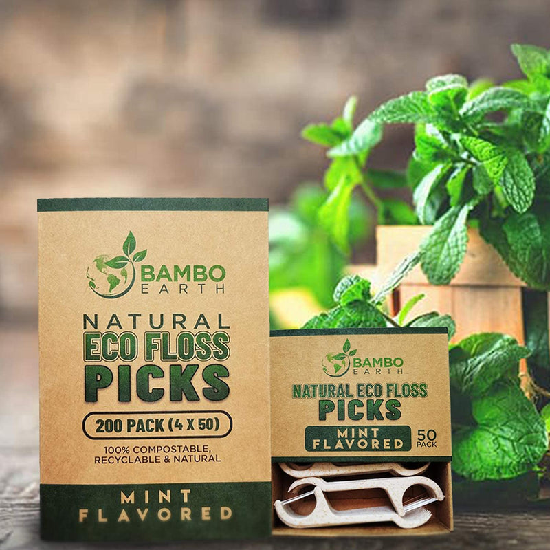 Natural Dental Floss Picks - Eco Friendly Cruelty Free & Vegan Tooth Flossers Pick Set with Biodegradable and Compostable BPA Free Handle & Zero Waste Packaging - 200 Pack (Mint) Mint - NewNest Australia