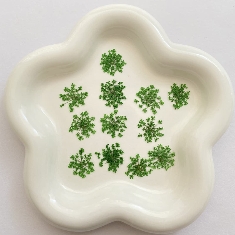 100pcs/pack Ammi majus Natural Pressed Dried Flower for Resin Jewelry Making, Soap and Candle Making, Scrapbooking DIY (Green) Green - NewNest Australia