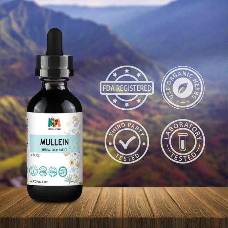 Maui Herbs Mullein Leaf Liquid Extract - Lung Detox & Respiratory Cleanse Drops - Digestive System, Natural Sleep Aid & Immune Support Tincture - Organic Lung Health Herbal Supplements, 2 fl oz. 2 Fl Oz (Pack of 1) - NewNest Australia